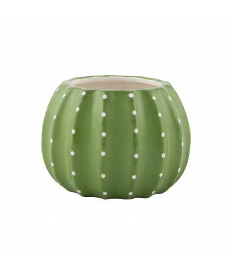 Cache-pot Cactus Cache-pot Cactus