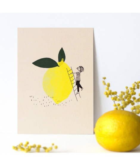 Carte postale citronnette Carte postale citronnette